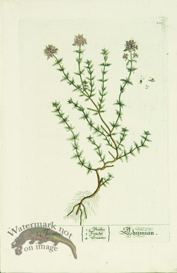 Blackwell German 138